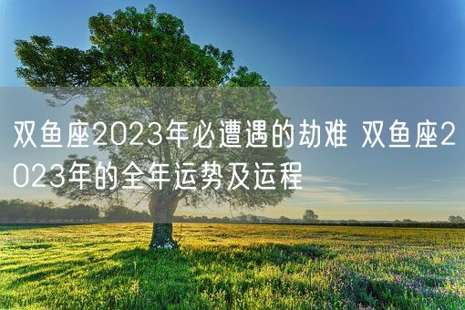 双鱼座2023年必遭遇的劫难 双鱼座2023年的全年运势及运程(图1)