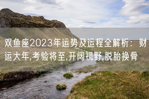 双鱼座2023年运势及运程全解析：财运大年,考验将至,开阔视野,脱胎换骨(图1)