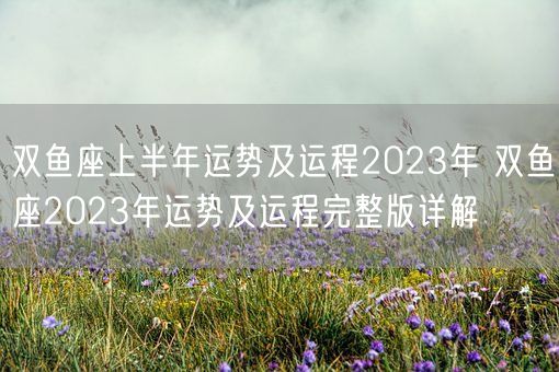 双鱼座上半年运势及运程2023年 双鱼座2023年运势及运程完整版详解(图1)