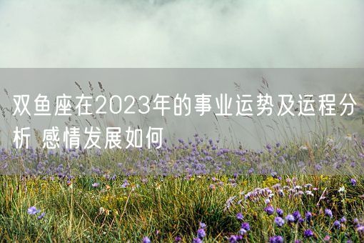 双鱼座在2023年的事业运势及运程分析 感情发展如何(图1)