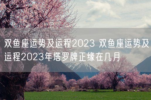 双鱼座运势及运程2023 双鱼座运势及运程2023年塔罗牌正缘在几月(图1)