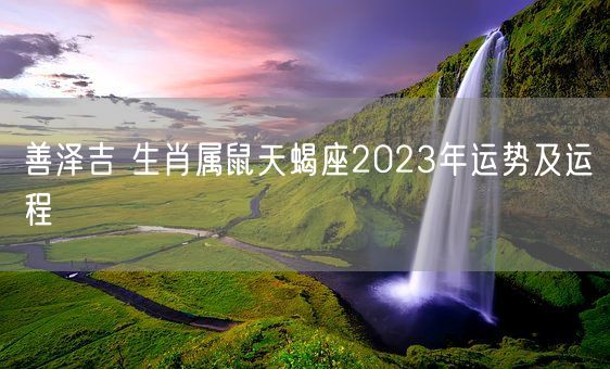 善泽吉 生肖属鼠天蝎座2023年运势及运程(图1)