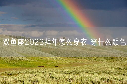 双鱼座2023拜年怎么穿衣 穿什么颜色(图1)