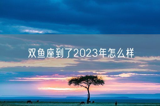 双鱼座到了2023年怎么样(图1)