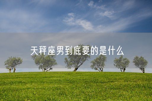 天秤座男到底要的是什么(图1)