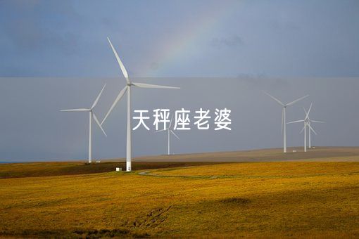 天秤座老婆(图1)