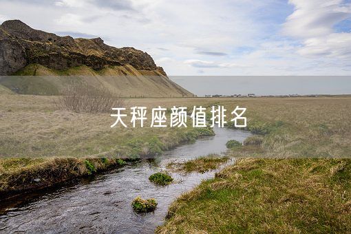 天秤座颜值排名(图1)