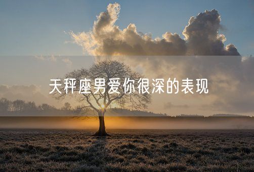 天秤座男爱你很深的表现(图1)