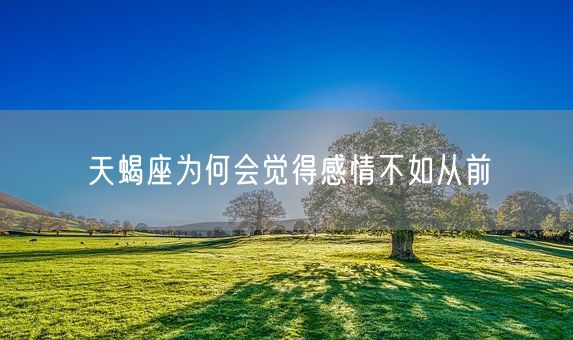 天蝎座为何会觉得感情不如从前(图1)