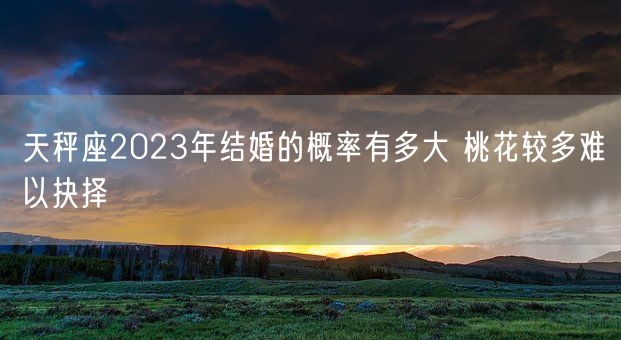 天秤座2023年结婚的概率有多大 桃花较多难以抉择(图1)