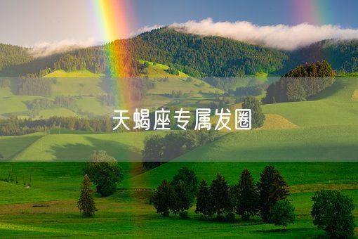 天蝎座专属发圈(图1)