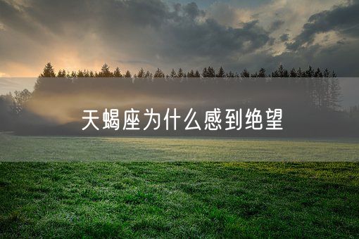 天蝎座为什么感到绝望(图1)