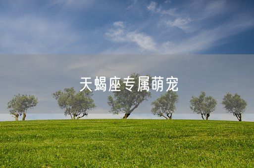 天蝎座专属萌宠(图1)