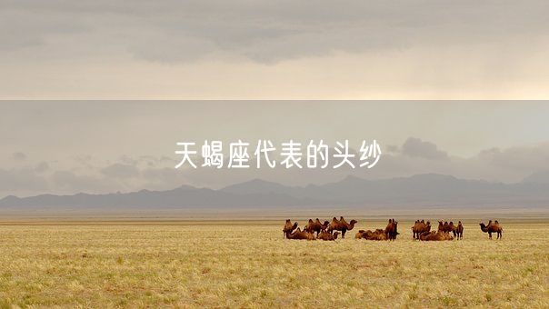 天蝎座代表的头纱(图1)