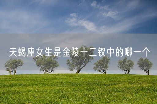 天蝎座女生是金陵十二钗中的哪一个(图1)
