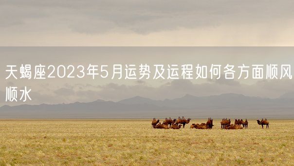 天蝎座2023年5月运势及运程如何各方面顺风顺水(图1)