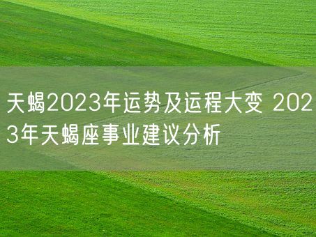 天蝎2023年运势及运程大变 2023年天蝎座事业建议分析(图1)