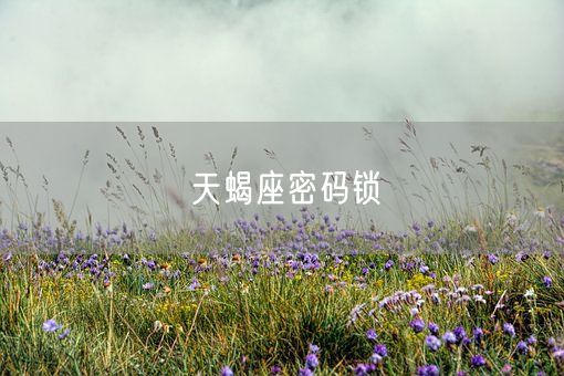 天蝎座密码锁(图1)