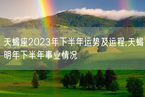 天蝎座2023年下半年运势及运程,天蝎明年下半年事业情况(图1)