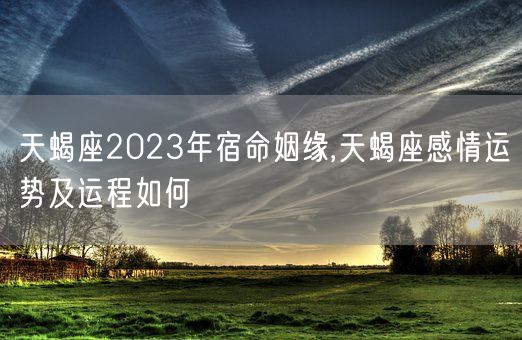 天蝎座2023年宿命姻缘,天蝎座感情运势及运程如何(图1)