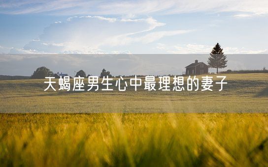 天蝎座男生心中最理想的妻子(图1)