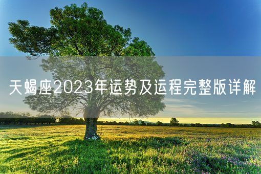 天蝎座2023年运势及运程完整版详解(图1)