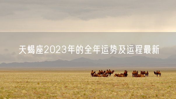 天蝎座2023年的全年运势及运程最新(图1)