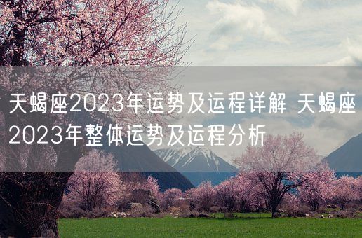 天蝎座2023年运势及运程详解 天蝎座2023年整体运势及运程分析(图1)