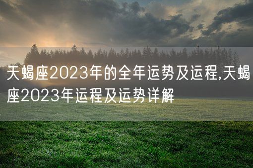 天蝎座2023年的全年运势及运程,天蝎座2023年运程及运势详解(图1)