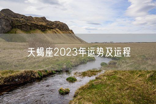 天蝎座2023年运势及运程(图1)