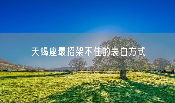 天蝎座最招架不住的表白方式(图1)