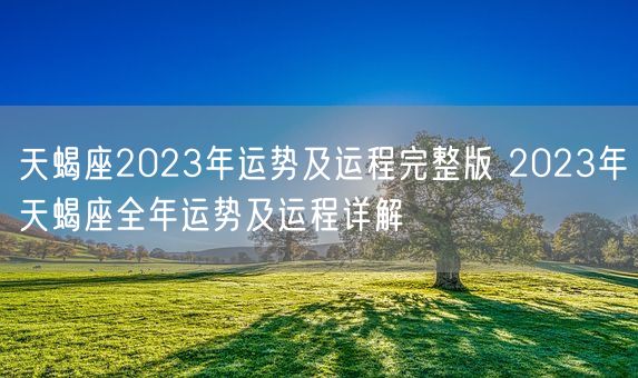 天蝎座2023年运势及运程完整版 2023年天蝎座全年运势及运程详解(图1)