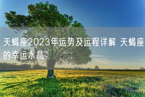 天蝎座2023年运势及运程详解 天蝎座的幸运水晶(图1)