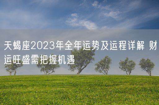 天蝎座2023年全年运势及运程详解 财运旺盛需把握机遇(图1)