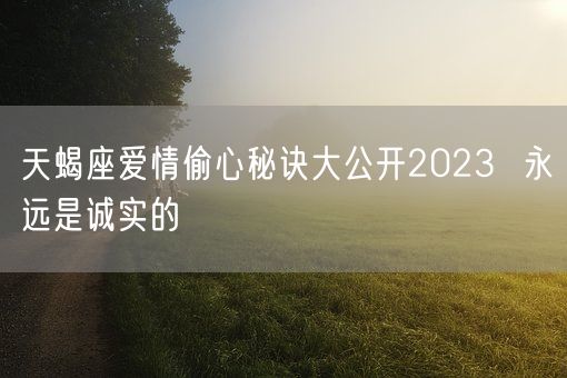 天蝎座爱情偷心秘诀大公开2023  永远是诚实的(图1)