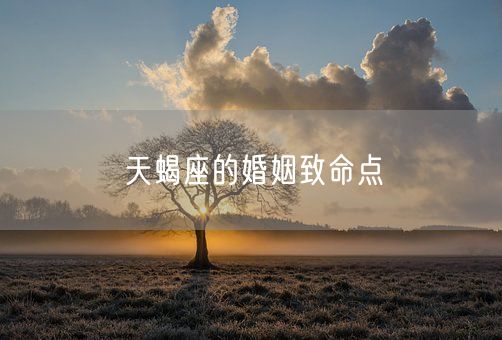 天蝎座的婚姻致命点(图1)