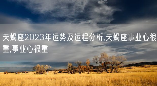 天蝎座2023年运势及运程分析,天蝎座事业心很重,事业心很重(图1)