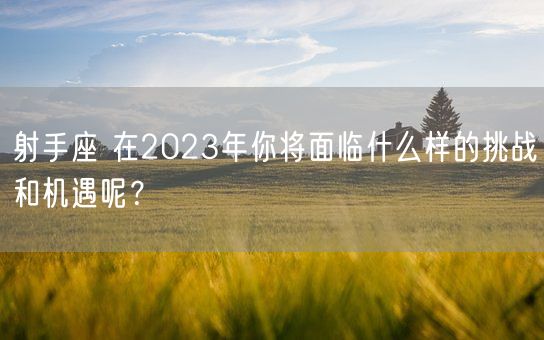 射手座 在2023年你将面临什么样的挑战和机遇呢？(图1)