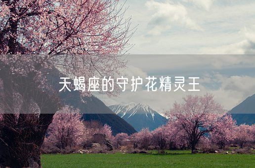 天蝎座的守护花精灵王(图1)