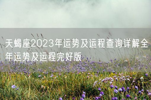 天蝎座2023年运势及运程查询详解全年运势及运程完好版(图1)