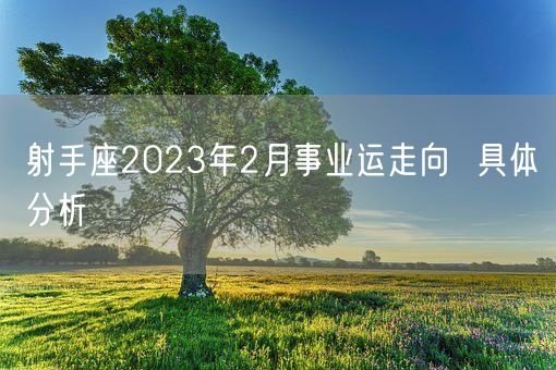 射手座2023年2月事业运走向  具体分析(图1)