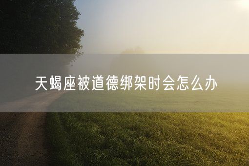 天蝎座被道德绑架时会怎么办(图1)