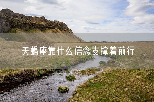 天蝎座靠什么信念支撑着前行(图1)