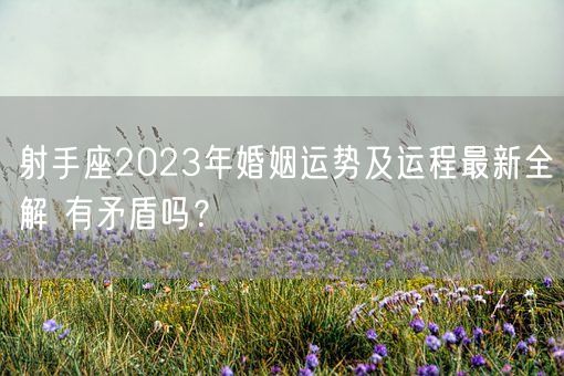 射手座2023年婚姻运势及运程最新全解 有矛盾吗？(图1)