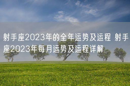 射手座2023年的全年运势及运程 射手座2023年每月运势及运程详解(图1)