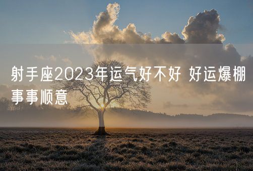 射手座2023年运气好不好 好运爆棚事事顺意(图1)