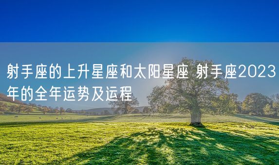 射手座的上升星座和太阳星座 射手座2023年的全年运势及运程(图1)