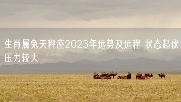 生肖属兔天秤座2023年运势及运程 状态起伏压力较大(图1)