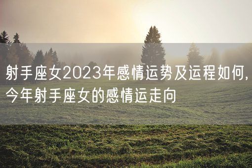 射手座女2023年感情运势及运程如何,今年射手座女的感情运走向(图1)