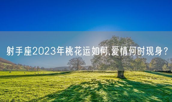 射手座2023年桃花运如何,爱情何时现身？(图1)